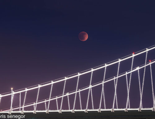 Shooting the Lunar Eclipse an Angst Ridden Venture