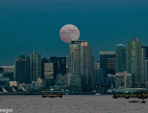 Moon Rise in San Diego, A Challenge