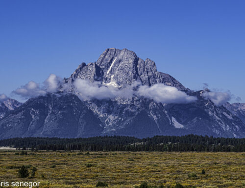 An Unforgettable Photo Shoot in the Tetons