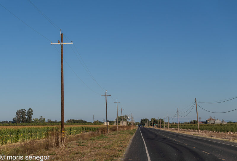 Walnut Grove Road with a hawk atop the nearest pole.